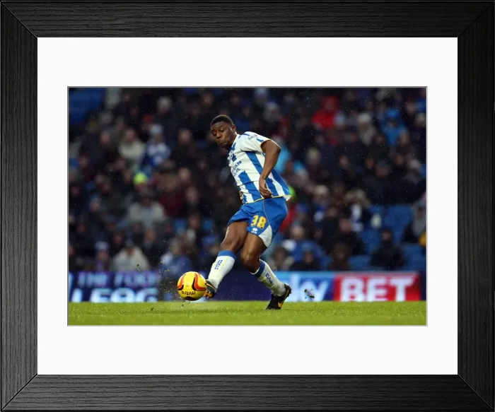 Framed Print : Brighton & Hove Albion vs. Bournemouth: Home Game - January 1, 2014 (Season 2013-14) Framed Print : Brighton & Hove Albion vs. Bournemouth: Home Game - January 1, 2014 (Season 2013-14)
