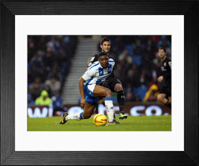 Framed Print : Brighton & Hove Albion vs Bournemouth: Home Game (January 1, 2014) Framed Print : Brighton & Hove Albion vs Bournemouth: Home Game (January 1, 2014)
