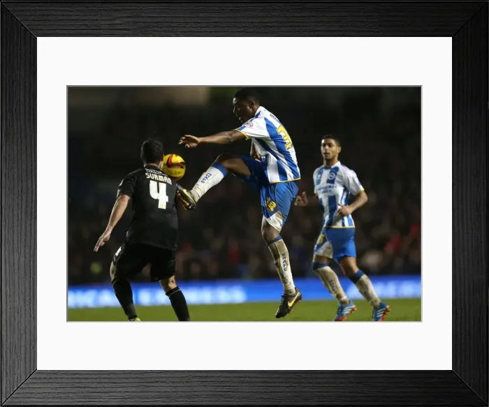 Framed Print : Brighton & Hove Albion vs. Bournemouth: Home Game - January 1, 2014 Framed Print : Brighton & Hove Albion vs. Bournemouth: Home Game - January 1, 2014