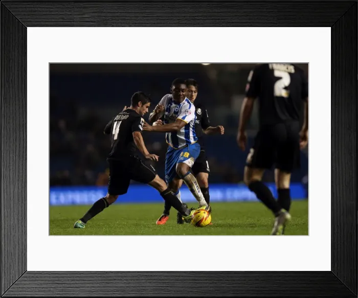 Framed Print : Brighton & Hove Albion vs. Bournemouth: Home Game - January 1, 2014 Framed Print : Brighton & Hove Albion vs. Bournemouth: Home Game - January 1, 2014