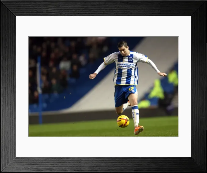 Framed Print : Brighton & Hove Albion vs. Bournemouth: Home Game (January 1, 2014) Framed Print : Brighton & Hove Albion vs. Bournemouth: Home Game (January 1, 2014)