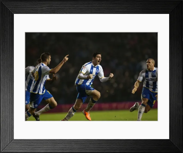 Framed Print : Brighton & Hove Albion vs. Bournemouth: Home Game - January 1, 2014 (Season 2013-14) Framed Print : Brighton & Hove Albion vs. Bournemouth: Home Game - January 1, 2014 (Season 2013-14)