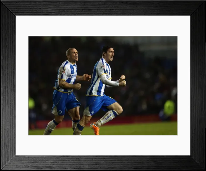 Framed Print : Brighton & Hove Albion vs. Bournemouth: Home Game - January 1, 2014 (Season 2013-14) Framed Print : Brighton & Hove Albion vs. Bournemouth: Home Game - January 1, 2014 (Season 2013-14)