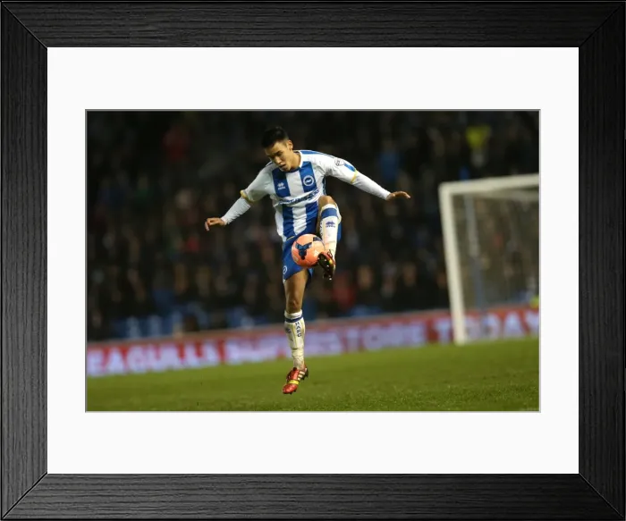 Framed Print : Brighton & Hove Albion vs. Reading (FA Cup), 04-01-2014: A Home Game from the 2013-14 Season