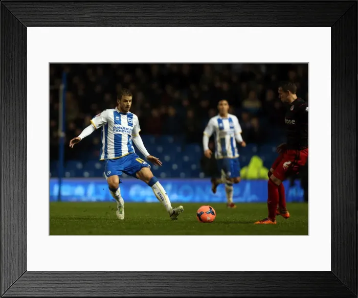 Framed Print : A Fight at the Amex: Brighton & Hove Albion vs. Reading (FA Cup), 2013-14 Season Framed Print : A Fight at the Amex: Brighton & Hove Albion vs. Reading (FA Cup), 2013-14 Season