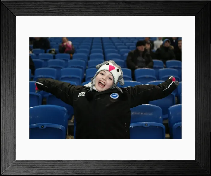 Framed Print : Brighton & Hove Albion vs. Reading - FA Cup Clash: 2013-14 Season Home Game Framed Print : Brighton & Hove Albion vs. Reading - FA Cup Clash: 2013-14 Season Home Game