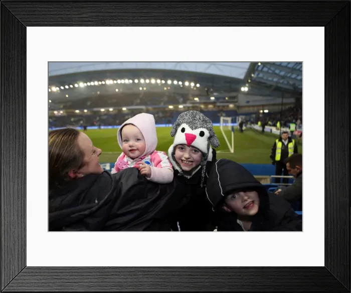 Framed Print : Brighton & Hove Albion vs. Reading (FA Cup) - Home Game: 04-01-2014 (Season 2013-14) Framed Print : Brighton & Hove Albion vs. Reading (FA Cup) - Home Game: 04-01-2014 (Season 2013-14)