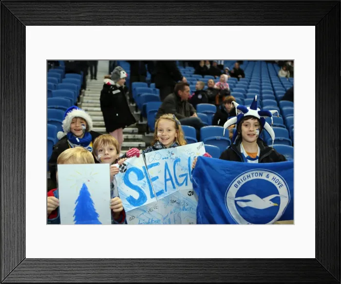 Framed Print : Brighton & Hove Albion vs. Reading (FA Cup) - Home Game: 04-01-2014 (Season 2013-14) Framed Print : Brighton & Hove Albion vs. Reading (FA Cup) - Home Game: 04-01-2014 (Season 2013-14)