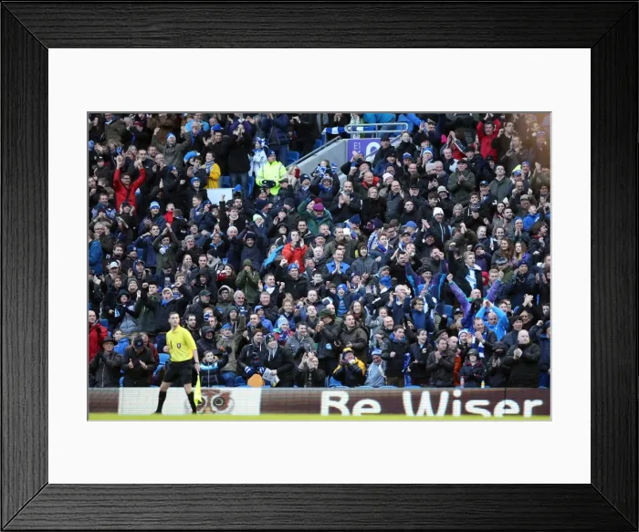 Framed Print : Brighton & Hove Albion vs. Reading (FA Cup) - Home Game: 04-01-2014 (Season 2013-14) Framed Print : Brighton & Hove Albion vs. Reading (FA Cup) - Home Game: 04-01-2014 (Season 2013-14)