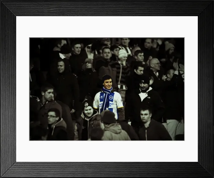Framed Print : Brighton & Hove Albion vs. Reading (FA Cup) - Home Game: 04-01-2014 (Season 2013-14) Framed Print : Brighton & Hove Albion vs. Reading (FA Cup) - Home Game: 04-01-2014 (Season 2013-14)
