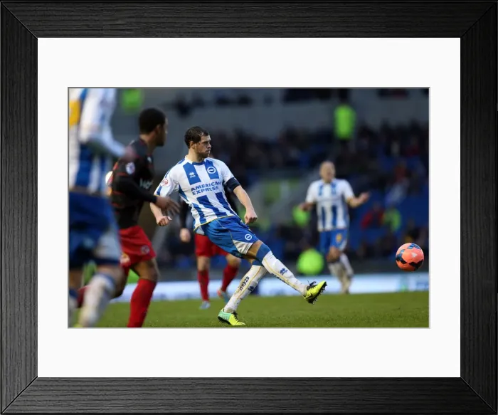 Framed Print : Brighton & Hove Albion vs. Reading (FA Cup) - Home Game: 04-01-2014 (Season 2013-14) Framed Print : Brighton & Hove Albion vs. Reading (FA Cup) - Home Game: 04-01-2014 (Season 2013-14)