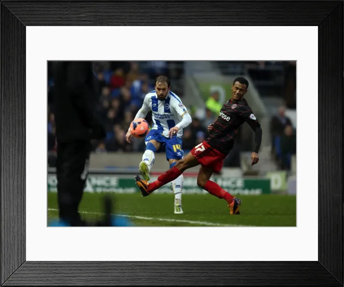 Framed Print : Brighton & Hove Albion vs. Reading (FA Cup) - The Seagulls FA Cup Battle (04-01-2014) Framed Print : Brighton & Hove Albion vs. Reading (FA Cup) - The Seagulls FA Cup Battle (04-01-2014)