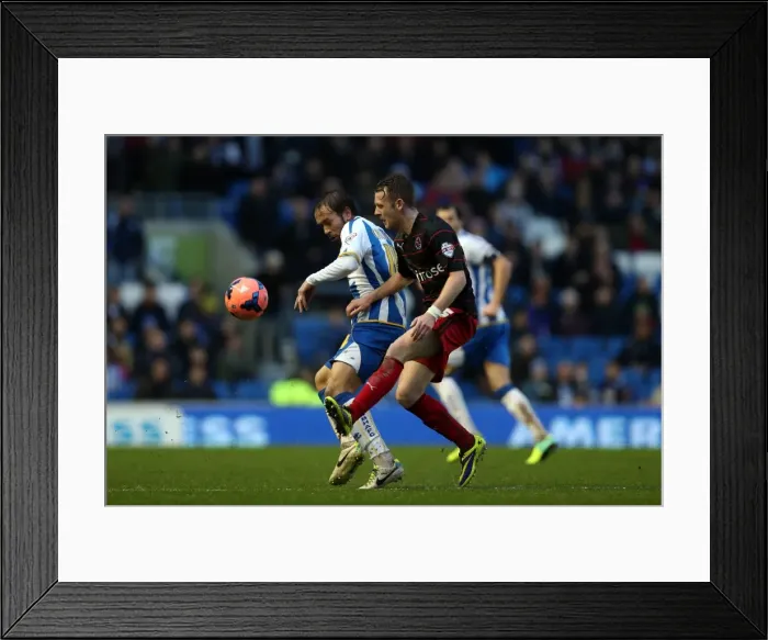 Framed Print : Brighton & Hove Albion vs. Reading (FA Cup) - Home Game, 04-01-2014: Season 2013-14