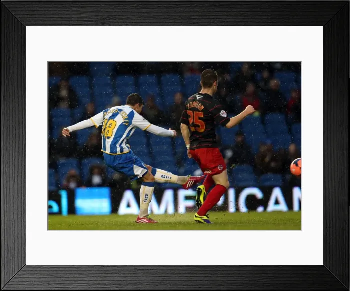 Framed Print : A Fight at the Amex: Brighton & Hove Albion vs. Reading (F.A. Cup), 2013-14 Season Framed Print : A Fight at the Amex: Brighton & Hove Albion vs. Reading (F.A. Cup), 2013-14 Season