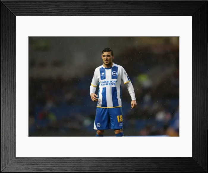 Framed Print : Brighton And Hove Albion Season 2013-14: 2013-14 Home Games: Reading (FAC) - 04-01-2014 Framed Print : Brighton And Hove Albion Season 2013-14: 2013-14 Home Games: Reading (FAC) - 04-01-2014