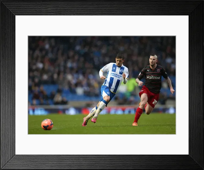 Framed Print : A Fight at the Amex: Brighton & Hove Albion vs. Reading (F.A. Cup), 2013-14 Season Framed Print : A Fight at the Amex: Brighton & Hove Albion vs. Reading (F.A. Cup), 2013-14 Season