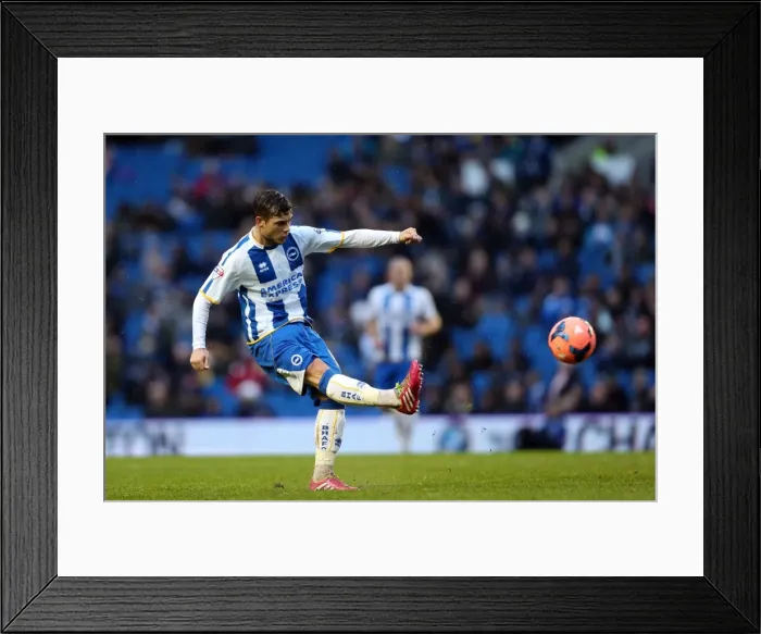 Framed Print : Brighton & Hove Albion vs. Reading (FA Cup) - Home Game, January 4, 2014 (Season 2013-14)