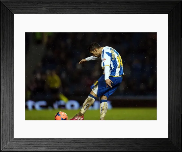 Framed Print : Brighton & Hove Albion vs. Reading: FA Cup 2013-14 Home Game (04-01-2014) Framed Print : Brighton & Hove Albion vs. Reading: FA Cup 2013-14 Home Game (04-01-2014)