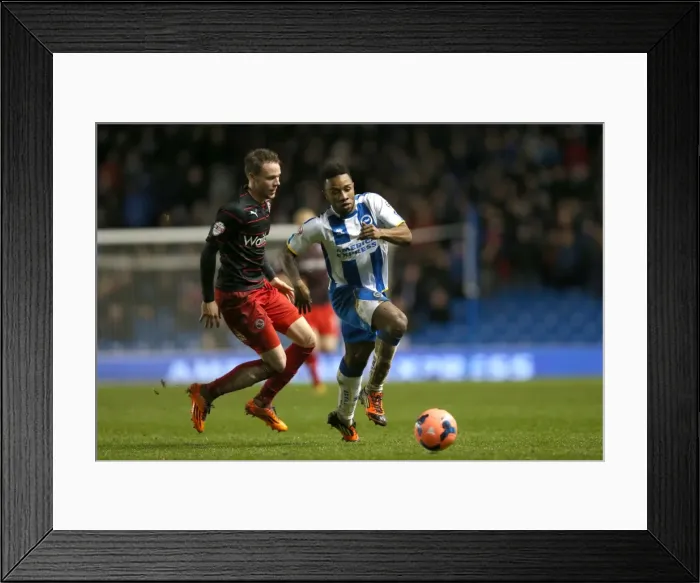 Framed Print : Brighton & Hove Albion vs. Reading (FA Cup) - The Seagulls FA Cup Battle (04-01-2014) Framed Print : Brighton & Hove Albion vs. Reading (FA Cup) - The Seagulls FA Cup Battle (04-01-2014)