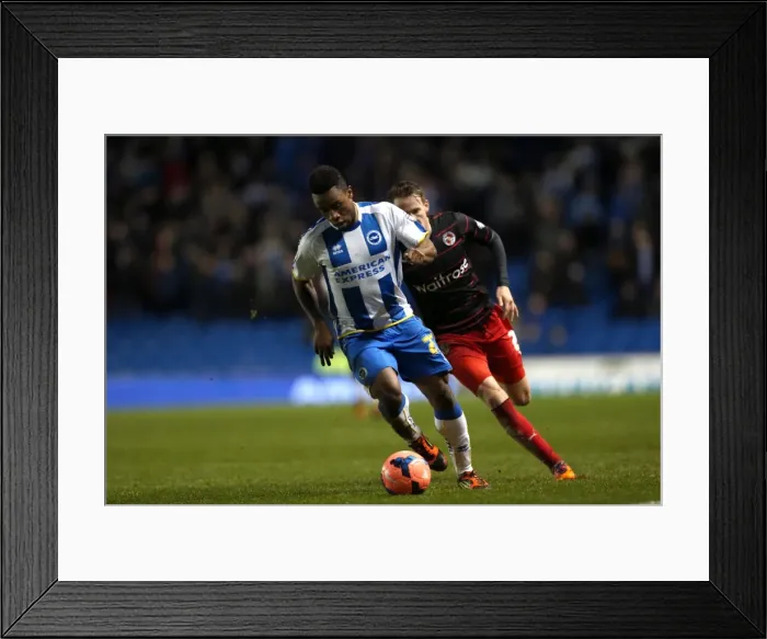 Framed Print : Brighton & Hove Albion vs. Reading (F.A. Cup) - Home Game, January 4, 2014 (Season 2013-14) Framed Print : Brighton & Hove Albion vs. Reading (F.A. Cup) - Home Game, January 4, 2014 (Season 2013-14)
