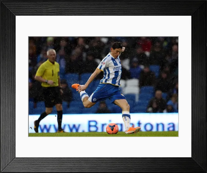 Framed Print : Brighton & Hove Albion vs. Reading (FA Cup) - Home Game: 04-01-2014, Season 2013-14 Framed Print : Brighton & Hove Albion vs. Reading (FA Cup) - Home Game: 04-01-2014, Season 2013-14