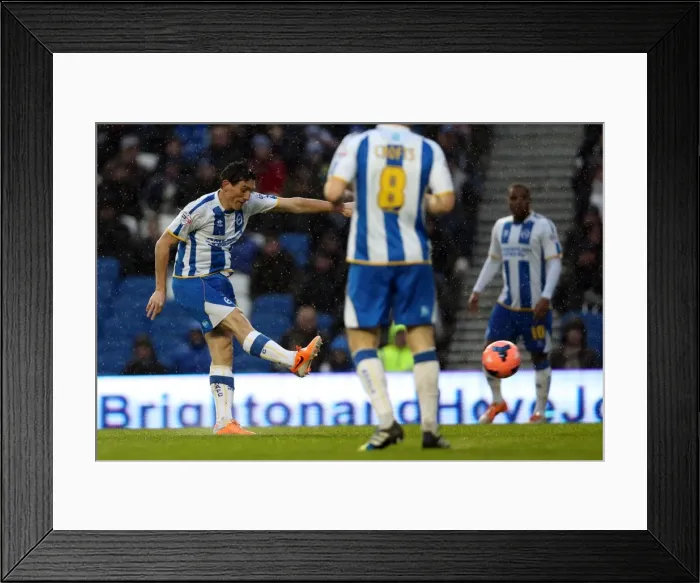 Framed Print : A Fight at the Amex: Brighton & Hove Albion vs. Reading (FA Cup), 2013-14 Season Framed Print : A Fight at the Amex: Brighton & Hove Albion vs. Reading (FA Cup), 2013-14 Season