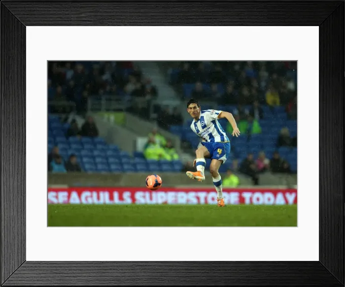 Framed Print : Brighton & Hove Albion vs. Reading (FA Cup) - Home Game: 04-01-2014 (Season 2013-14) Framed Print : Brighton & Hove Albion vs. Reading (FA Cup) - Home Game: 04-01-2014 (Season 2013-14)