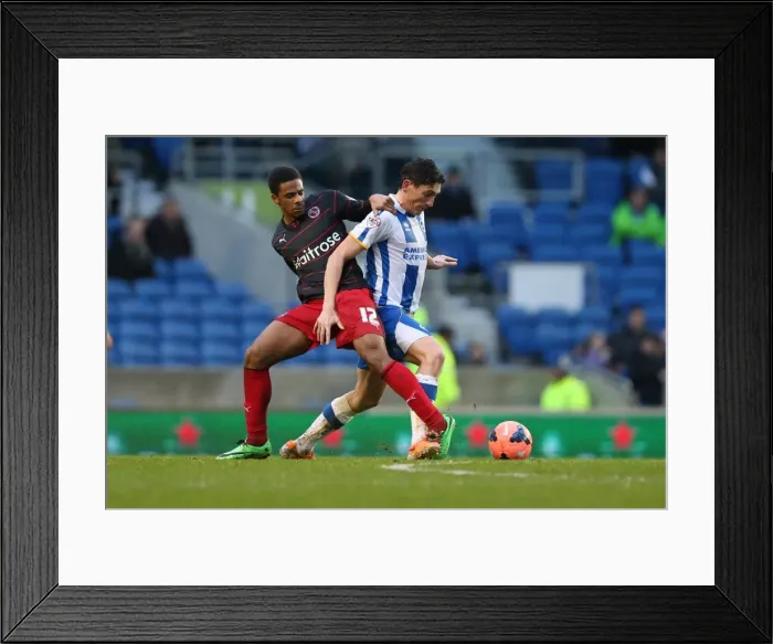 Framed Print : Brighton & Hove Albion vs. Reading (FA Cup) - Home Game, 04-01-2014 (Season 2013-14): A Home Match-up in the FA Cup between Brighton & Hove Albion and Reading (January 4, 2014) Framed Print : Brighton & Hove Albion vs. Reading (FA Cup) - Home Game, 04-01-2014 (Season 2013-14): A Home Match-up in the FA Cup between Brighton & Hove Albion and Reading (January 4, 2014)
