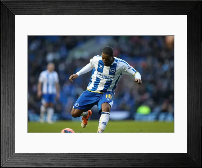 Framed Print : Brighton & Hove Albion vs. Reading (FA Cup), Home Game - 04-01-2014 (Season 2013-14) Framed Print : Brighton & Hove Albion vs. Reading (FA Cup), Home Game - 04-01-2014 (Season 2013-14)