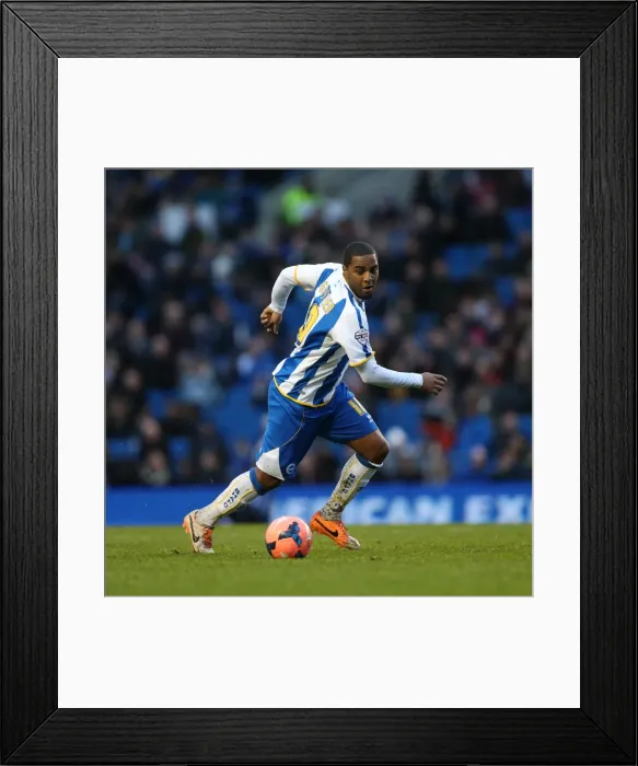 Framed Print : Brighton & Hove Albion vs. Reading (F.A. Cup) - Home Game, January 4, 2014 (Season 2013-14) Framed Print : Brighton & Hove Albion vs. Reading (F.A. Cup) - Home Game, January 4, 2014 (Season 2013-14)
