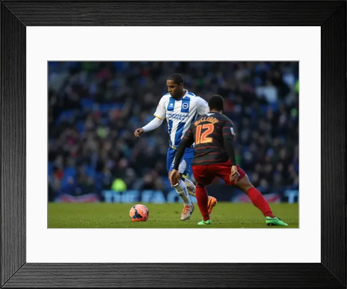 Framed Print : Brighton & Hove Albion vs. Reading (FA Cup) - Home Game: 04-01-2014 (Season 2013-14) Framed Print : Brighton & Hove Albion vs. Reading (FA Cup) - Home Game: 04-01-2014 (Season 2013-14)