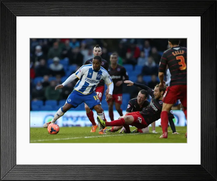 Framed Print : Brighton & Hove Albion vs. Reading (FA Cup) - Home Game: 04-01-2014 (Season 2013-14) Framed Print : Brighton & Hove Albion vs. Reading (FA Cup) - Home Game: 04-01-2014 (Season 2013-14)