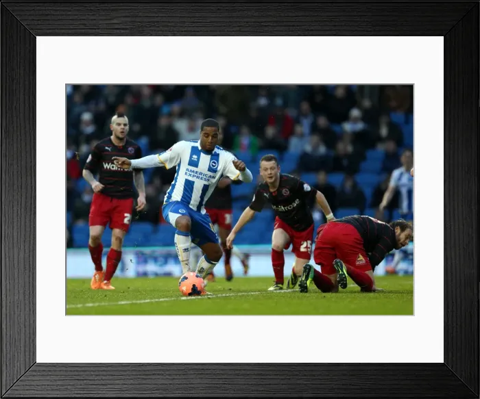 Framed Print : Brighton & Hove Albion vs. Reading (FA Cup) - Home Game: 04-01-2014 (Season 2013-14) Framed Print : Brighton & Hove Albion vs. Reading (FA Cup) - Home Game: 04-01-2014 (Season 2013-14)
