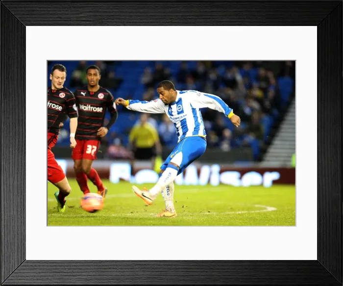 Framed Print : Brighton & Hove Albion vs. Reading (F.A. Cup) - Home Game: 04-01-2014 (Season 2013-14) Framed Print : Brighton & Hove Albion vs. Reading (F.A. Cup) - Home Game: 04-01-2014 (Season 2013-14)