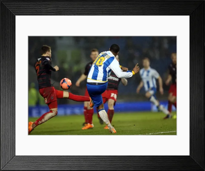 Framed Print : Brighton & Hove Albion vs. Reading (FA Cup) - Home Game: 04-01-2014 (Season 2013-14) Framed Print : Brighton & Hove Albion vs. Reading (FA Cup) - Home Game: 04-01-2014 (Season 2013-14)