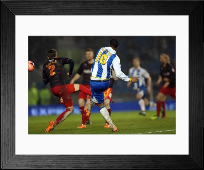 Framed Print : Brighton & Hove Albion vs. Reading (FA Cup) - Home Game: 04-01-2014 (Season 2013-14)