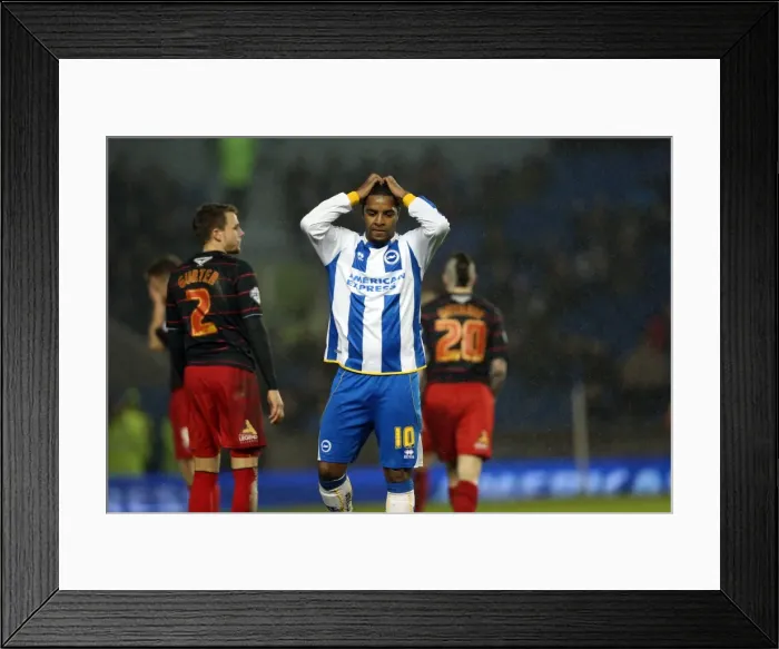 Framed Print : Brighton & Hove Albion vs. Reading (FA Cup) - Home Game: 04-01-2014 (Season 2013-14) Framed Print : Brighton & Hove Albion vs. Reading (FA Cup) - Home Game: 04-01-2014 (Season 2013-14)