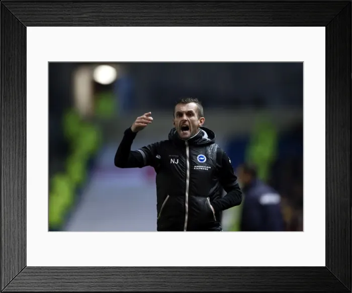 Framed Print : Brighton & Hove Albion vs. Reading: A Fight at the Amex - FA Cup Home Game, 2013-14 Season (04-01-2014) Framed Print : Brighton & Hove Albion vs. Reading: A Fight at the Amex - FA Cup Home Game, 2013-14 Season (04-01-2014)