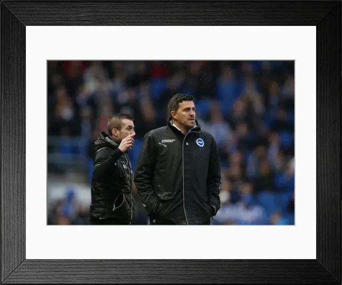 Framed Print : Brighton & Hove Albion vs. Reading - FA Cup Clash (January 4, 2014): 2013-14 Home Season Framed Print : Brighton & Hove Albion vs. Reading - FA Cup Clash (January 4, 2014): 2013-14 Home Season
