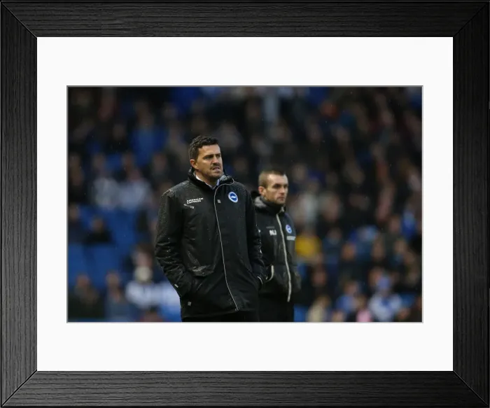 Framed Print : Brighton & Hove Albion vs. Reading (FA Cup), Home Game - 04-01-2014 (Season 2013-14) Framed Print : Brighton & Hove Albion vs. Reading (FA Cup), Home Game - 04-01-2014 (Season 2013-14)