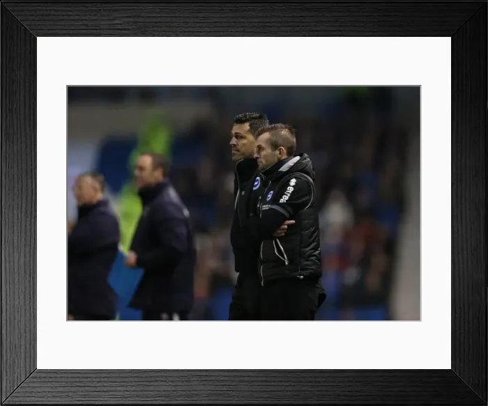 Framed Print : Brighton & Hove Albion vs. Reading (F.A. Cup) - Home Game: 4th January 2014 (Season 2013-14) Framed Print : Brighton & Hove Albion vs. Reading (F.A. Cup) - Home Game: 4th January 2014 (Season 2013-14)