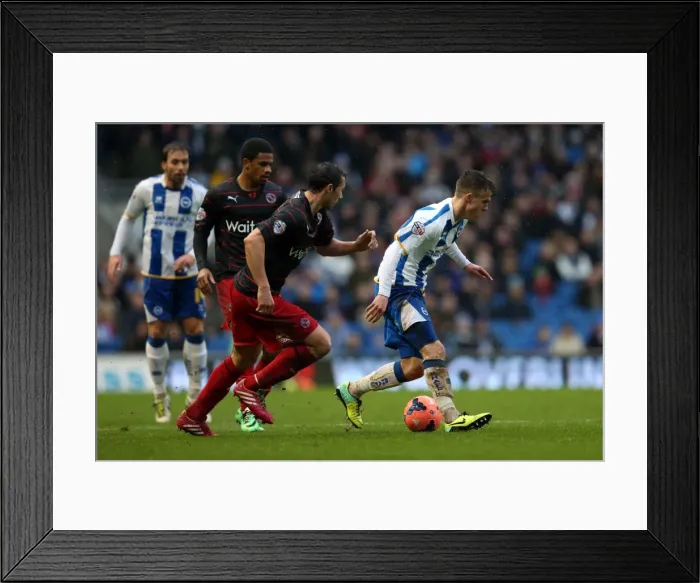 Framed Print : Brighton & Hove Albion vs. Reading (F.A. Cup) - Home Game, 2013-14 Season: A Fight at the Amex Stadium Framed Print : Brighton & Hove Albion vs. Reading (F.A. Cup) - Home Game, 2013-14 Season: A Fight at the Amex Stadium