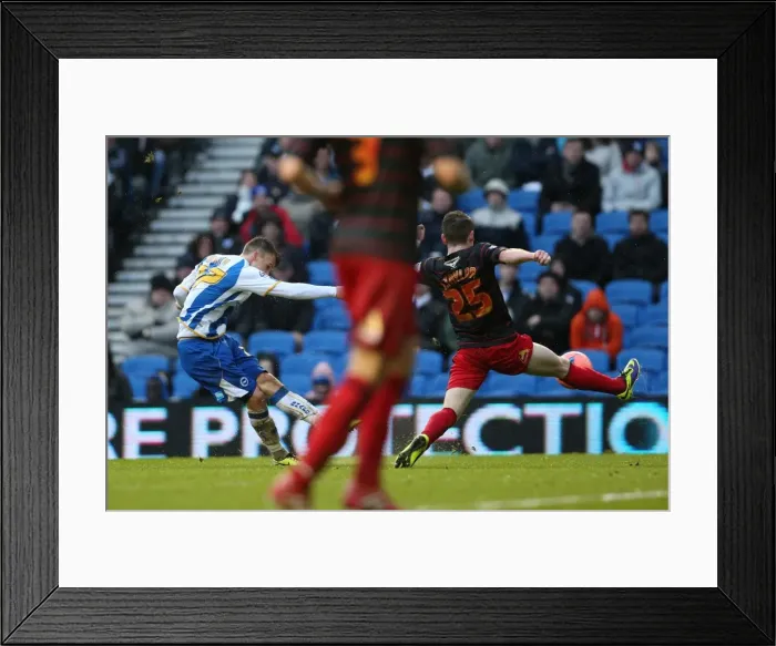 Framed Print : A Fight at the Amex: Brighton & Hove Albion vs. Reading (FA Cup), 2013-14 Season Framed Print : A Fight at the Amex: Brighton & Hove Albion vs. Reading (FA Cup), 2013-14 Season