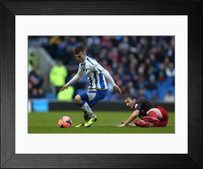 Framed Print : Brighton & Hove Albion vs. Reading (F.A. Cup), January 4, 2014: Home Game in the 2013-14 Season Framed Print : Brighton & Hove Albion vs. Reading (F.A. Cup), January 4, 2014: Home Game in the 2013-14 Season