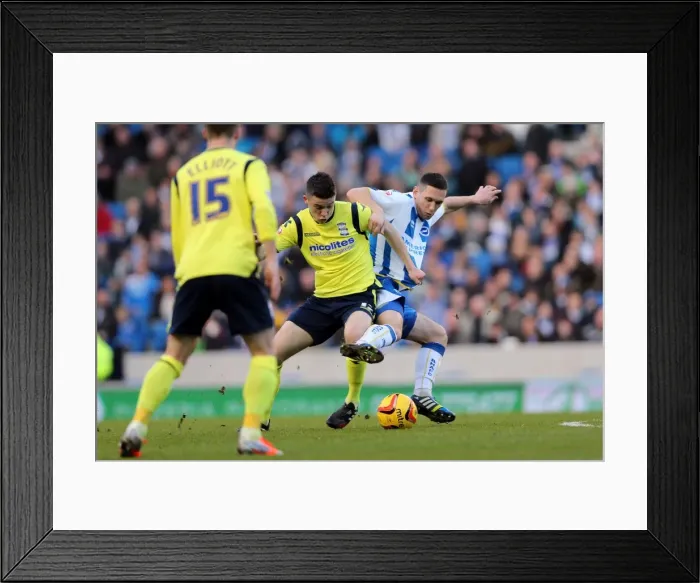 Framed Print : Brighton & Hove Albion's Historic 11-1 Victory over Birmingham City (January 11, 2014) Framed Print : Brighton & Hove Albion's Historic 11-1 Victory over Birmingham City (January 11, 2014)