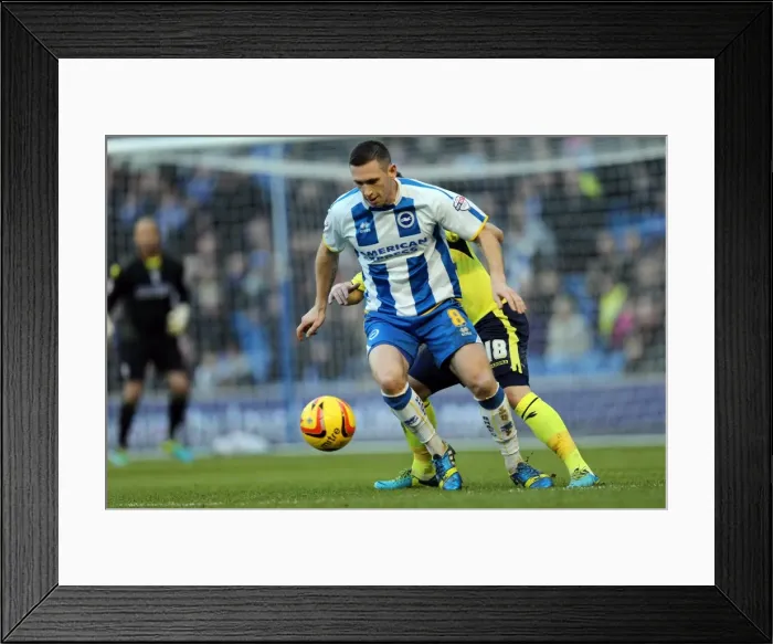 Framed Print : Brighton & Hove Albion vs. Birmingham City: 11-01-2014 - Home Game, Season 2013-14 Framed Print : Brighton & Hove Albion vs. Birmingham City: 11-01-2014 - Home Game, Season 2013-14