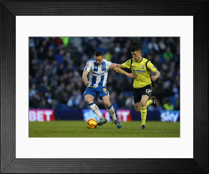 Framed Print : Brighton & Hove Albion vs. Birmingham City: A Historic 11-1 Win - 11-01-2014