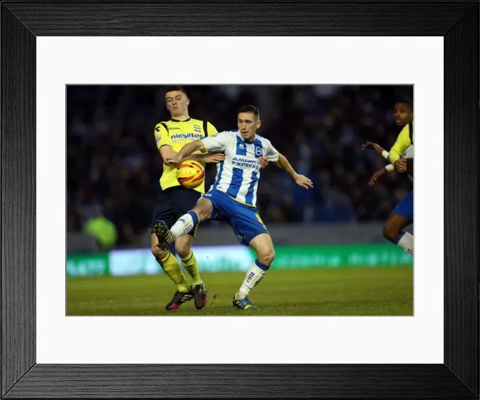 Framed Print : Brighton & Hove Albion's Historic 11-1 Victory over Birmingham City (January 11, 2014) Framed Print : Brighton & Hove Albion's Historic 11-1 Victory over Birmingham City (January 11, 2014)