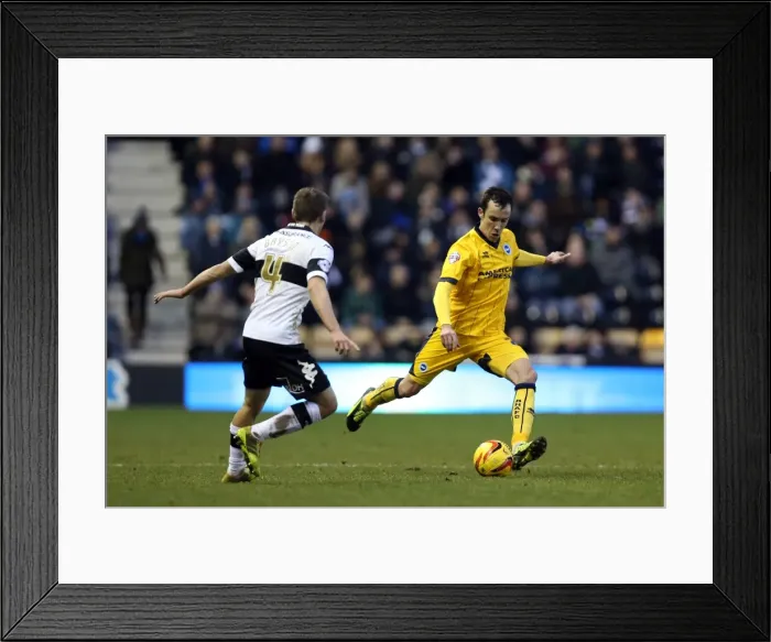 Framed Print : Brighton & Hove Albion vs. Derby County (Away Game - January 18, 2014) Framed Print : Brighton & Hove Albion vs. Derby County (Away Game - January 18, 2014)