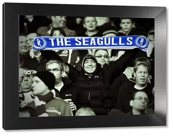 Brighton & Hove Albion vs. Derby County - January 18, 2014 (Away Game)